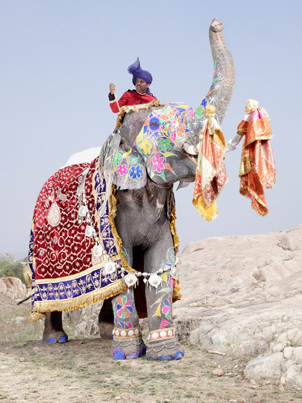 05-india-elephant-painted-floral-rainbow-580v