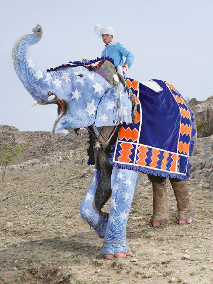 06-india-elephant-painted-blue-white-stars-580v
