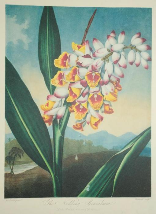 Métiers-d’Art-Florilège-–-RENEALMIA-WATCH